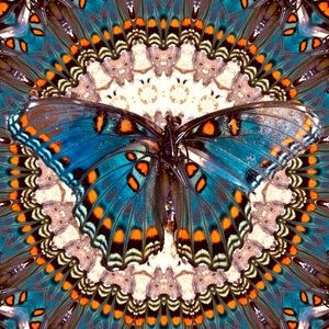 Original Photo Art Print